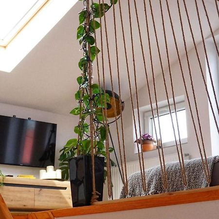 Nowy Dwór Gdański Loft Zulawy, Apartament Na Wylacznosc מראה חיצוני תמונה