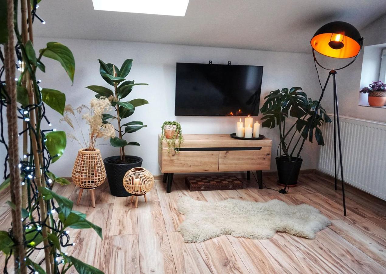 Nowy Dwór Gdański Loft Zulawy, Apartament Na Wylacznosc מראה חיצוני תמונה